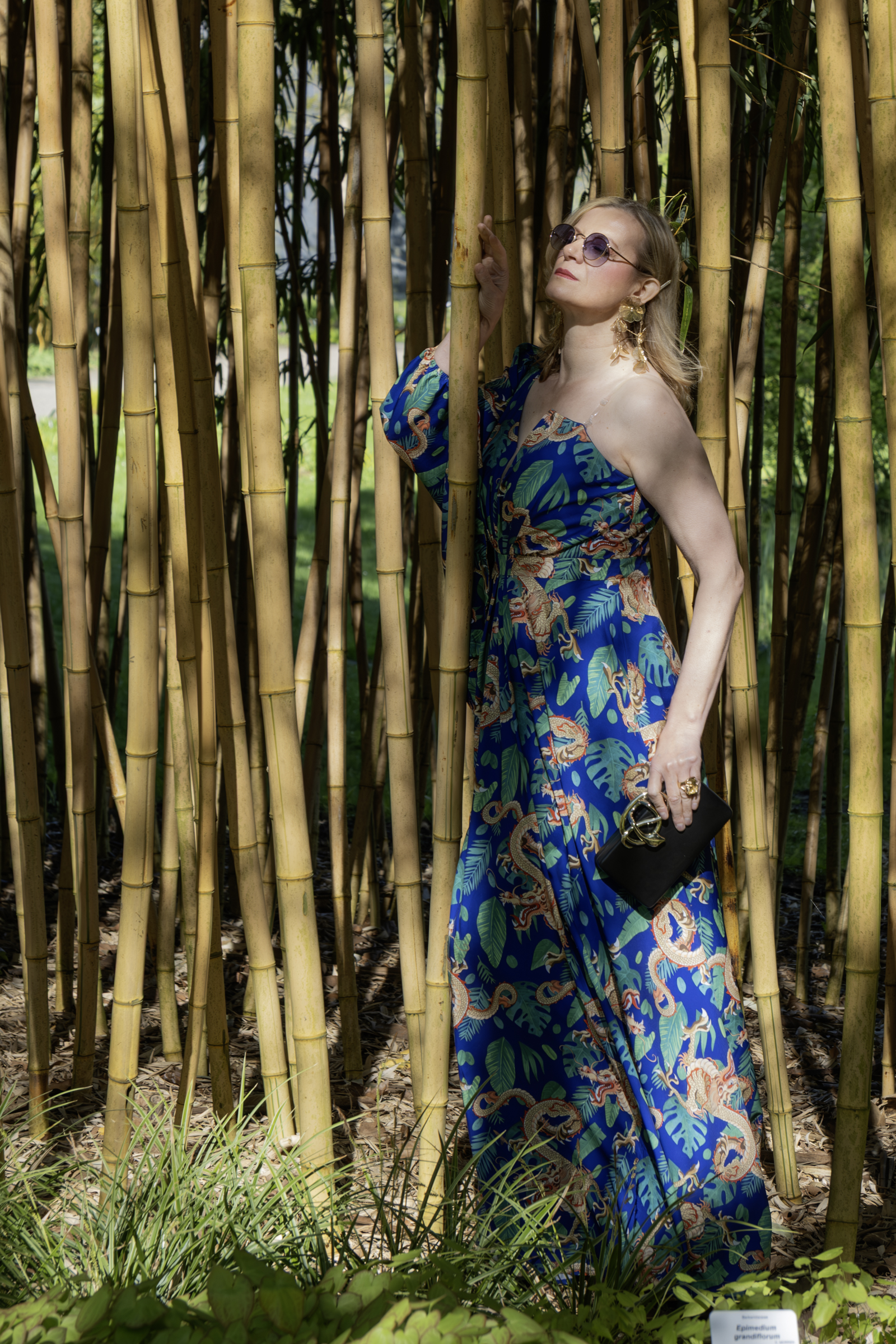 Frau im blauen Kleid zwischen Bambus